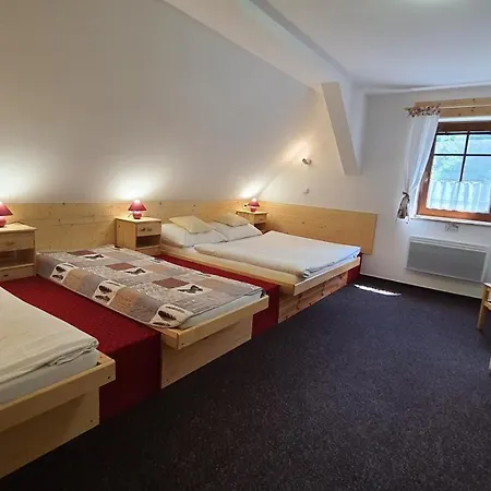Guest house Ctyrlistek *