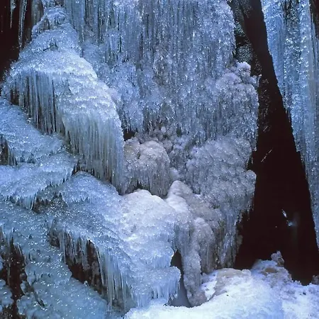 Ctyrlistek Teplice nad Metuji