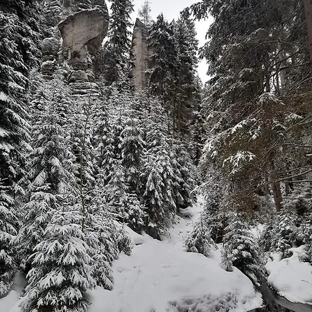 Ctyrlistek *