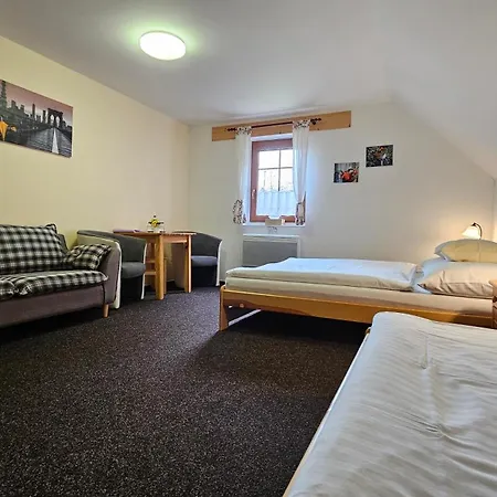 Guest house Ctyrlistek 3*