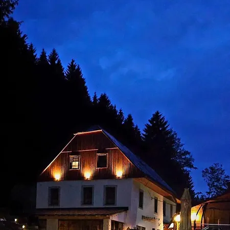Guest house Ctyrlistek 3*