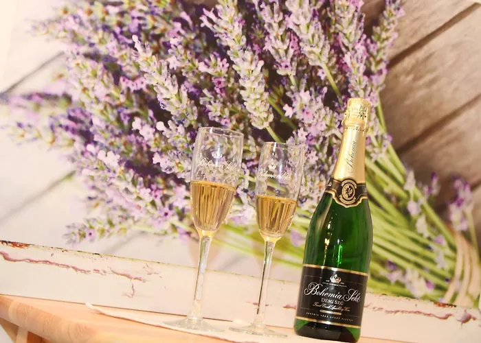 Ctyrlistek בית הארחה